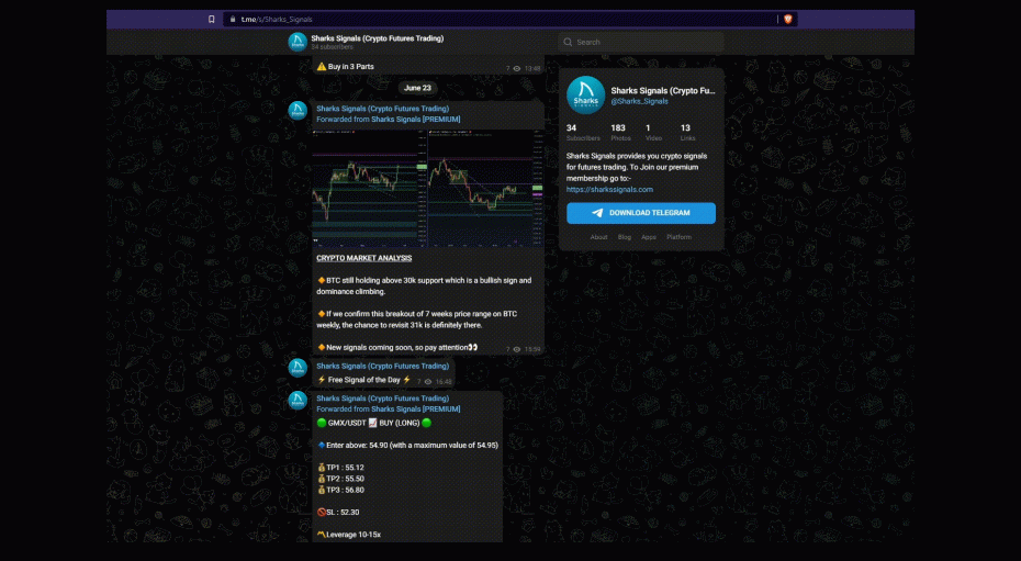 Crypto Signals Telegram Group